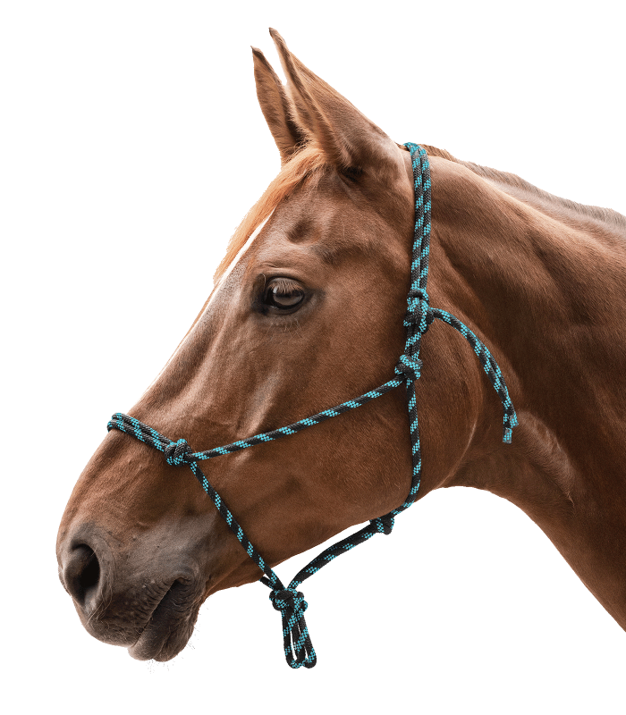 Kantar sznurkowy Waldhausen Knotted Halter Black/Mint